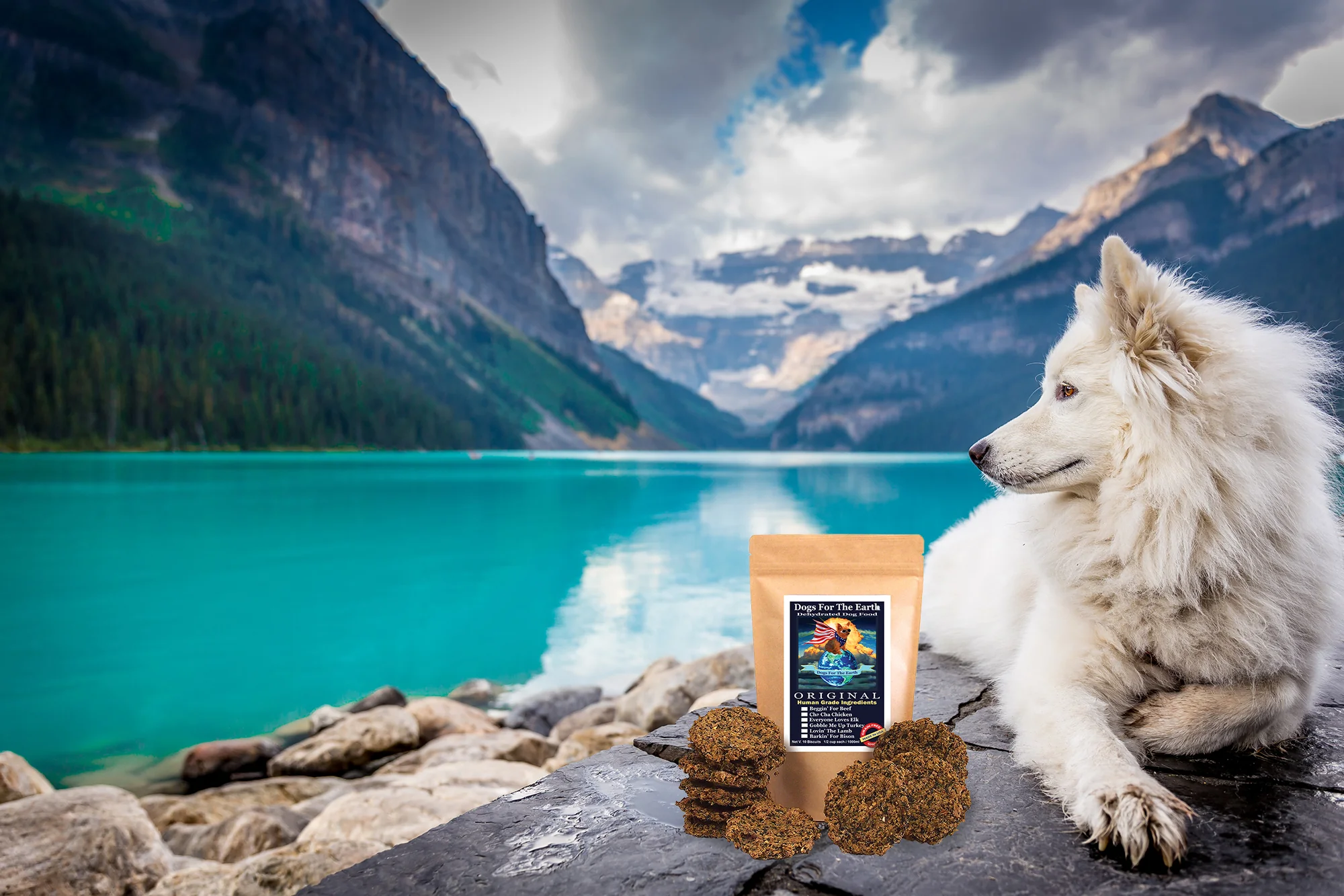 Pure Nutrition for Every Dog
